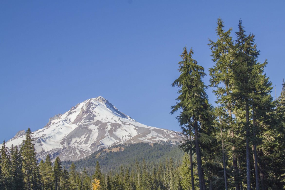 Wandering Through the Pacific Northwest