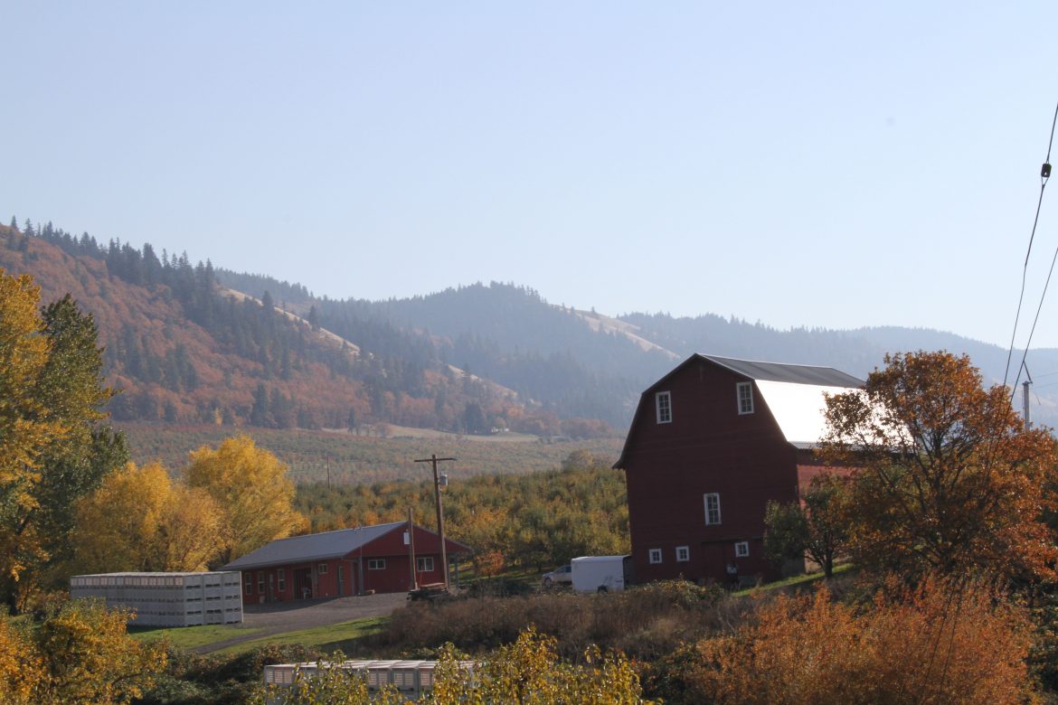 Our Year in Review // 2017