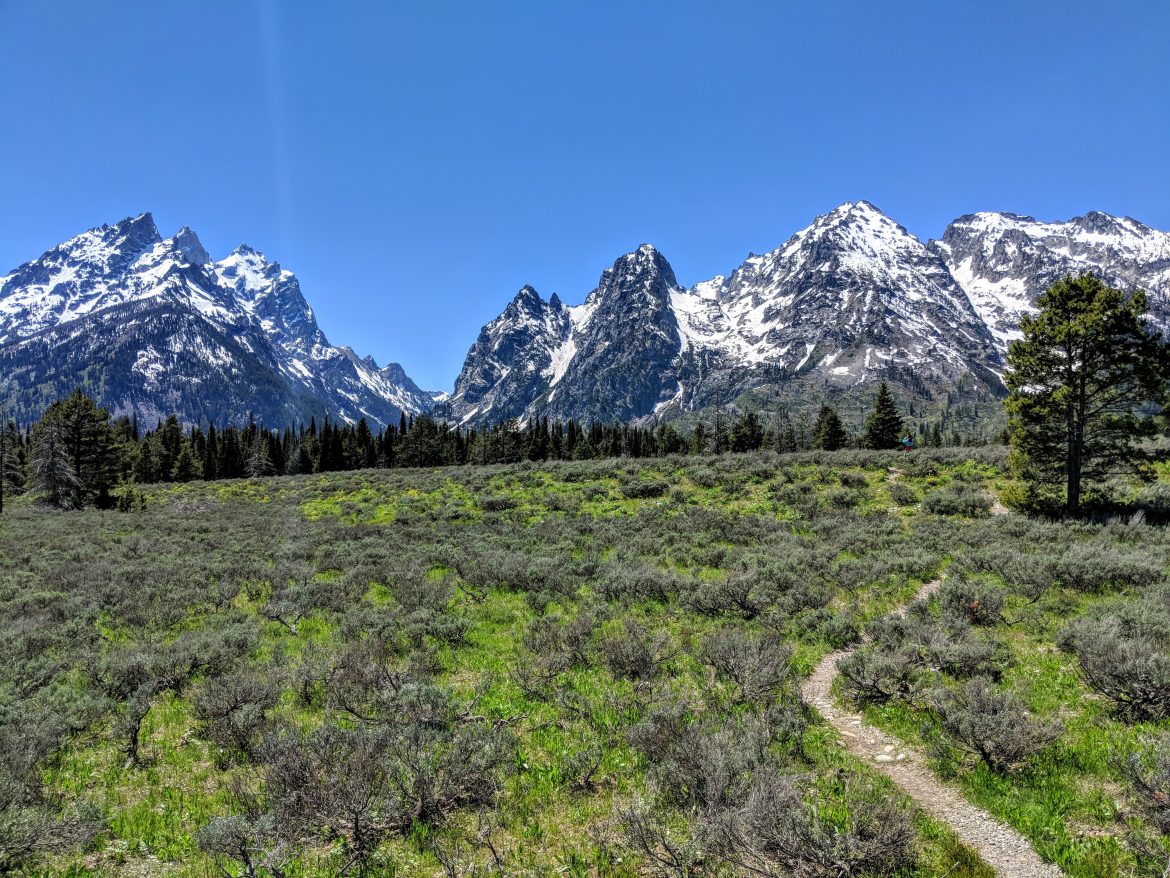 Hiking in Grand Teton National Park