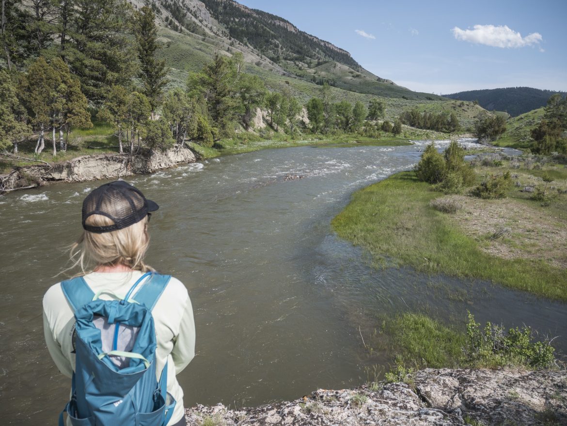 Exploring Yellowstone National Park