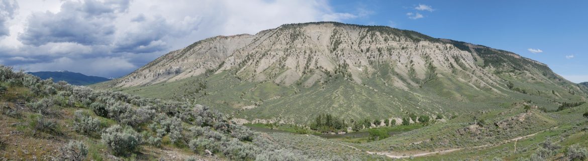 Whole Lotta Colorado